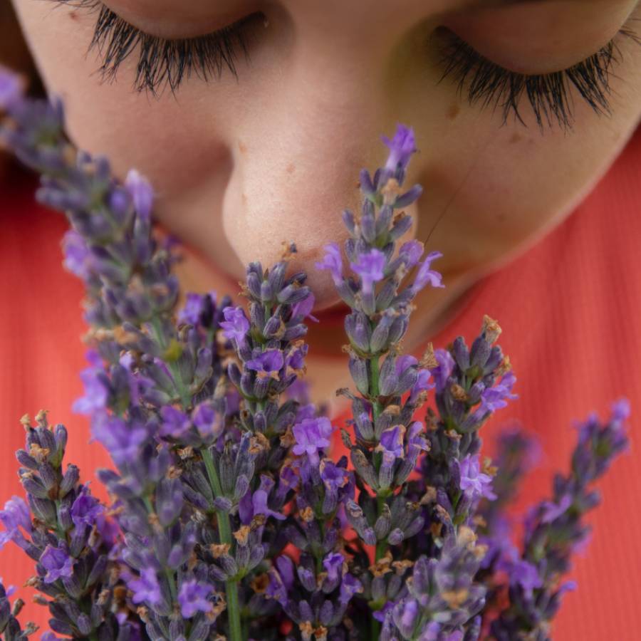 cigarette taste in mouth but don t smoke covid Vaping can have serious negative impacts on both your lungs and your overall health. Here are the potential risks that we already know about, even if the vape is nicotine-free Long Covid and Smell Disorders:
