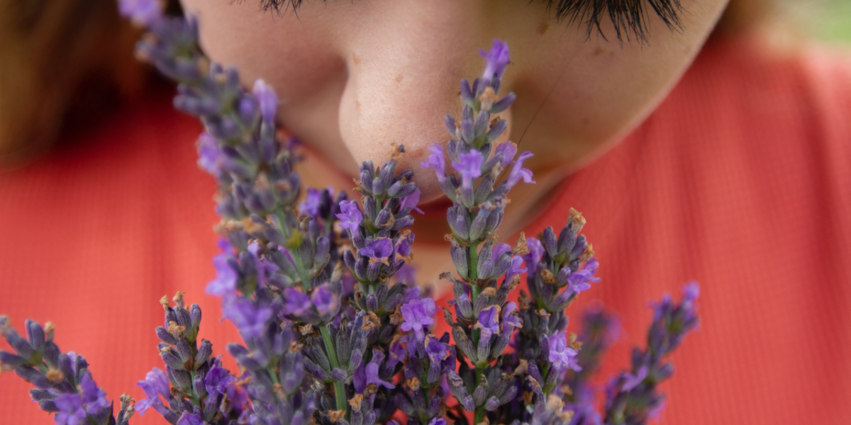 covid phantom smells cigarette smoke Long Covid and Smell Disorders: information and advice from Abscent
